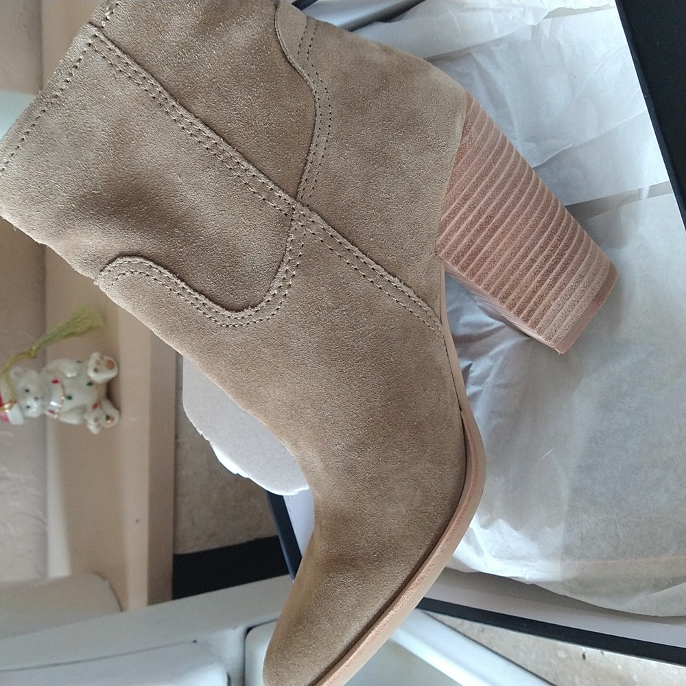 Dolce Nita suede boots